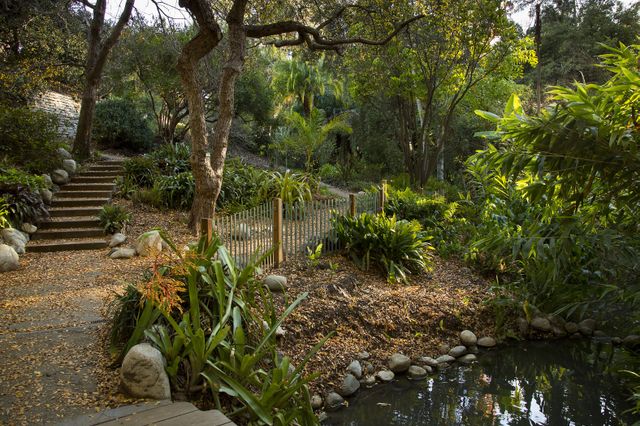 Botanical+garden+photo_mid